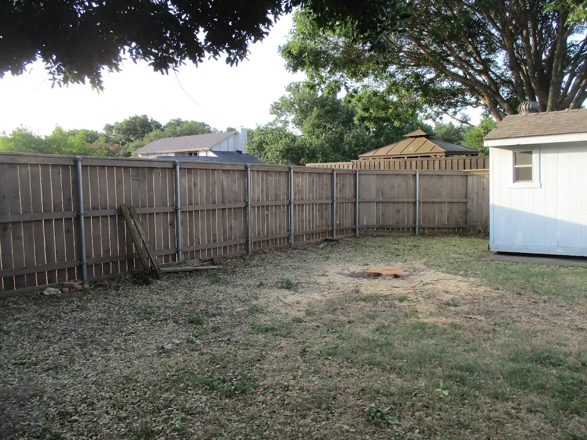 Cleared yard after professional tree removal in Willow Island